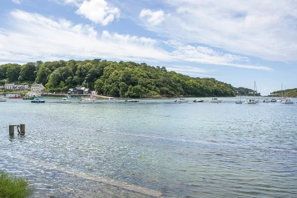 Belon River i Bretagne – stockfoto