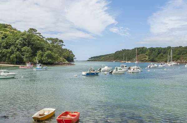 Belon River in Brittany — Stock Photo, Image