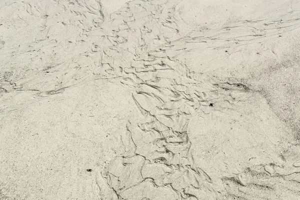 Cenário de praia molhada — Fotografia de Stock