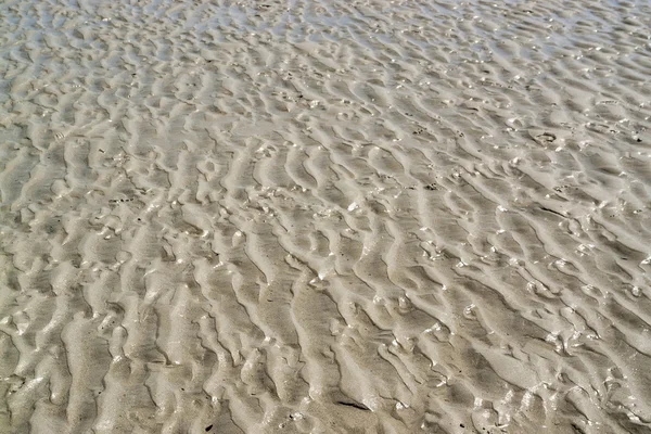 Пейзажем мокрою пляж — стокове фото