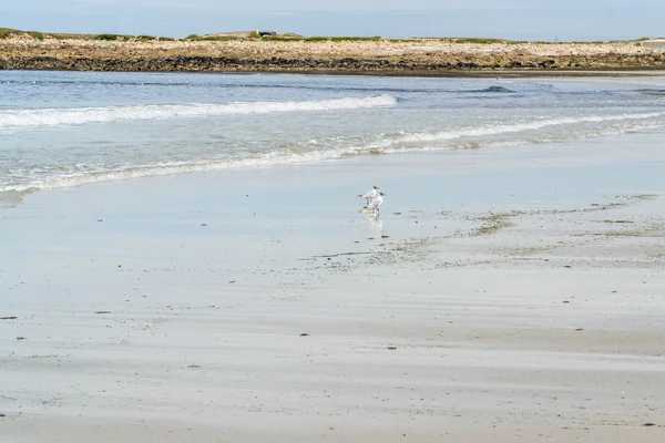 Plage ensoleillée en Bretagne — Photo