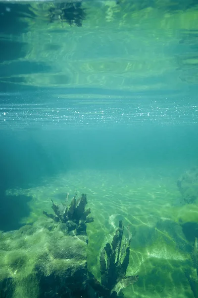 Прозрачный голубой зеленый подводный пейзаж — стоковое фото