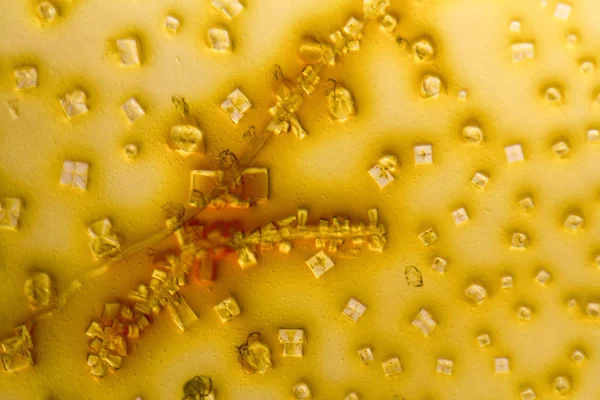 Microcrystals in gedroogde verfstof — Stockfoto