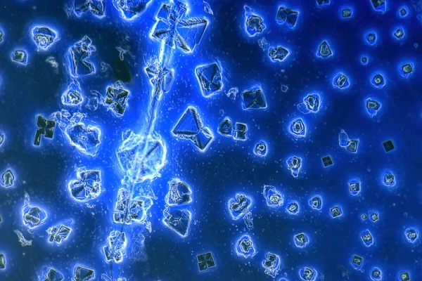 Kurutulmuş Boyarmadde microcrystals — Stok fotoğraf