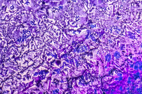 Kurutulmuş Boyarmadde microcrystals — Stok fotoğraf