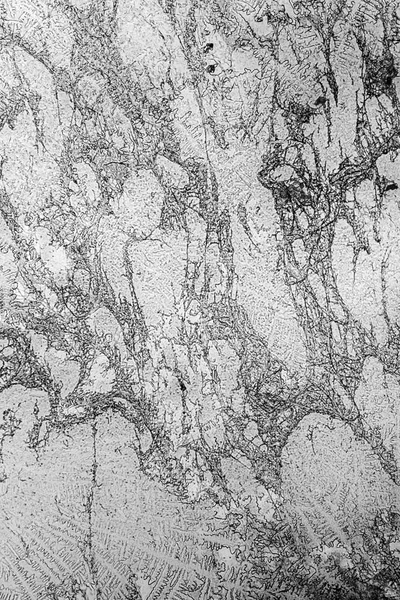 Microcrystal strukturer i torkade Öresundstullen — Stockfoto