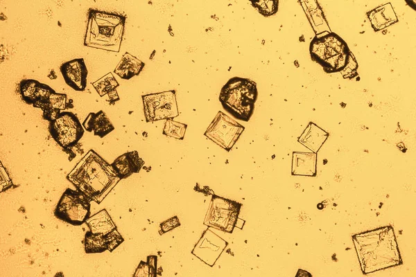 Microcristais microscópicos — Fotografia de Stock