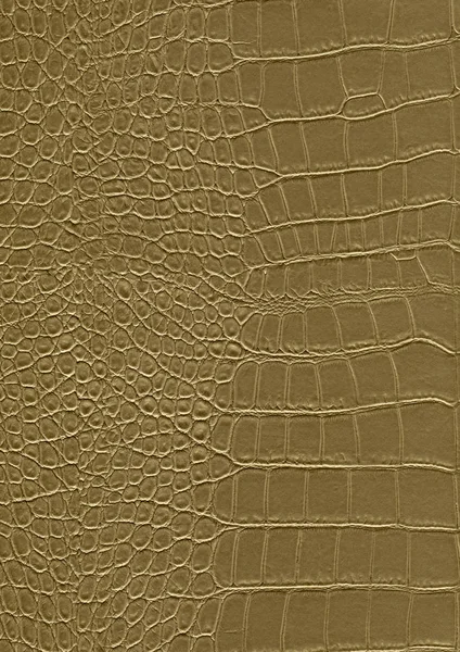 Reptile skin surface — Stock Photo, Image