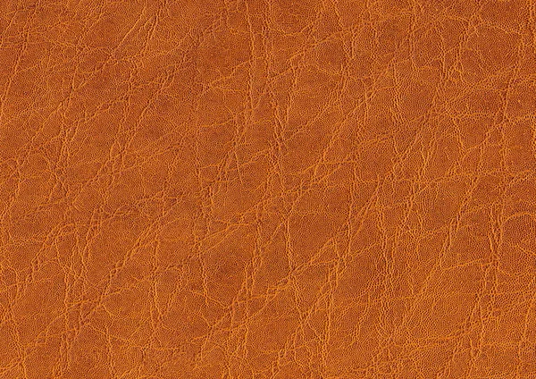 Full frame leather background — Stock Photo, Image