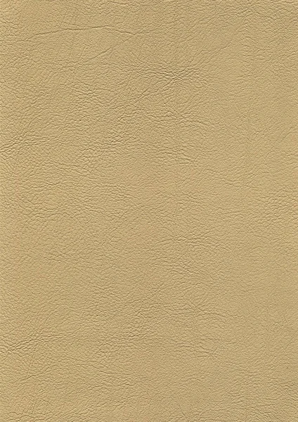 Full frame leather background — Stock Photo, Image
