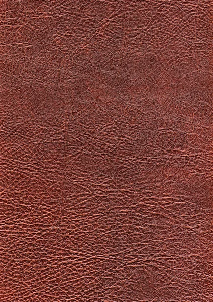 Full frame leather background — Stock Photo, Image