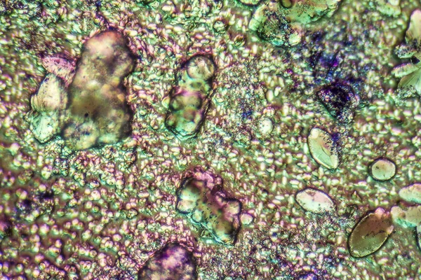 Mikroszkópos lövés mutatja a színes microcrystals a polarizált fény — Stock Fotó