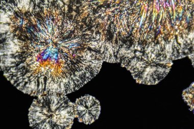 microscopic Loperamide crystals clipart