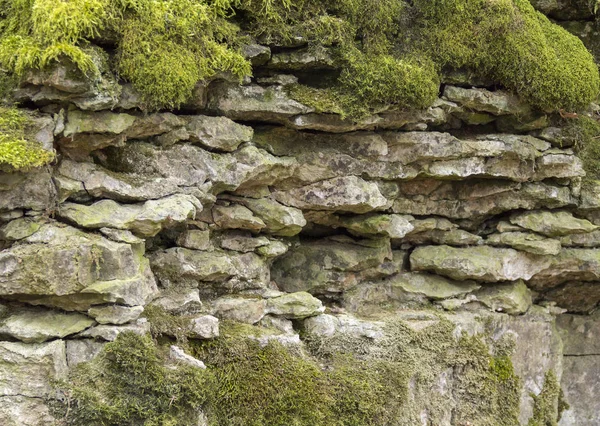 Mossy rock formation — Stock Photo, Image