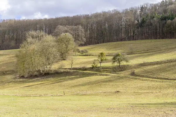 Paisagem rural em Hohenlohe — Fotografia de Stock