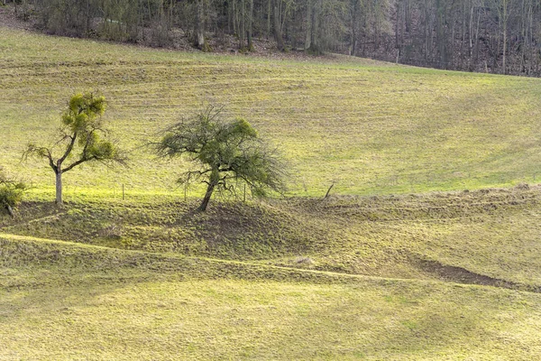 Hohenlohe vidéki táj — Stock Fotó