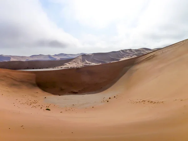 Namib sivatag Namíbiában — Stock Fotó