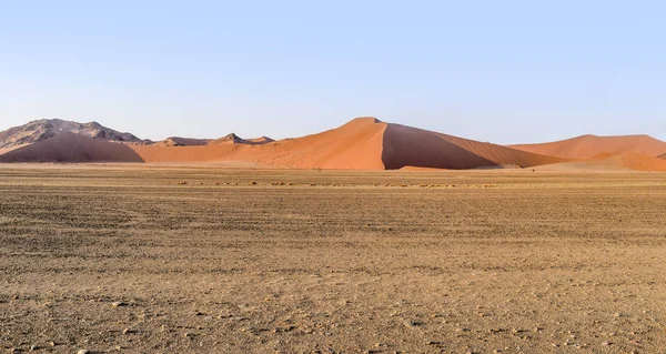 Namibische woestijn in Namibië — Stockfoto