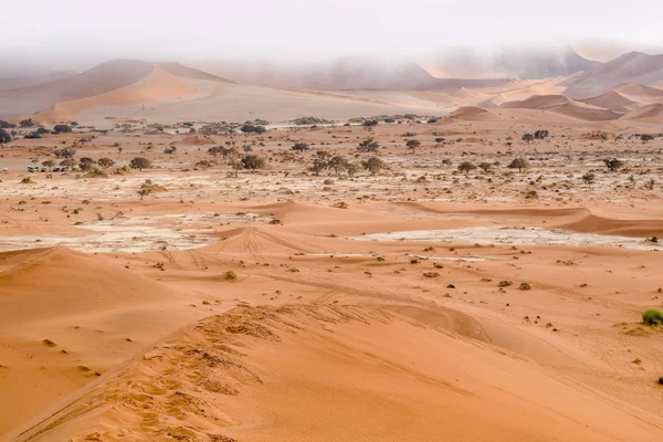 Namibische woestijn in Namibië — Stockfoto