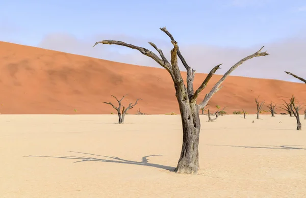 Namib desert in Namibia — Stock Photo, Image