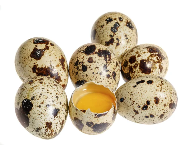Деякі перепелині яйця — стокове фото