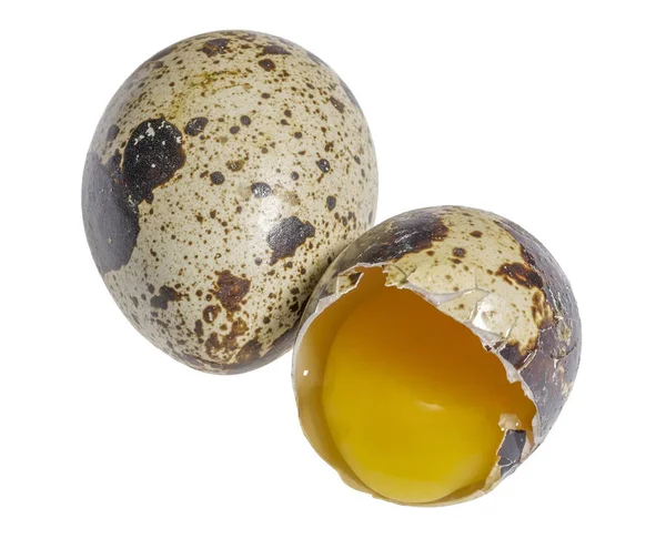 Два перепелині яйця — стокове фото