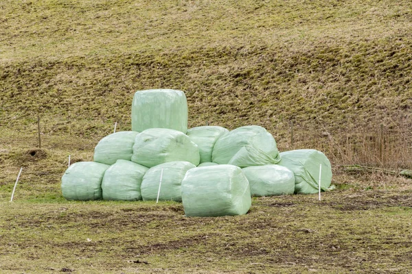 Heuballen gewickelt — Stockfoto