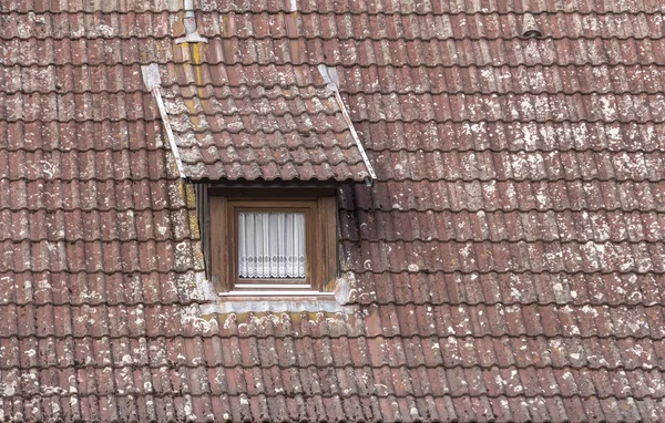Gaube mit Fenster — Stockfoto