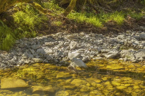 Paesaggio lungo il mare in primavera — Foto Stock