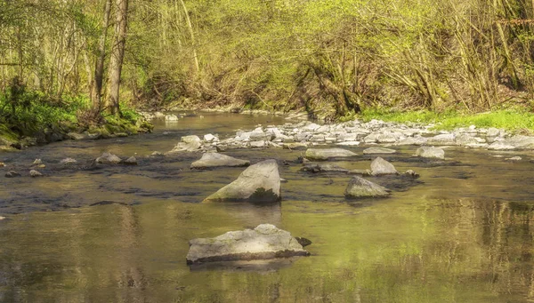 Tavaszi időben vízparti táj — Stock Fotó