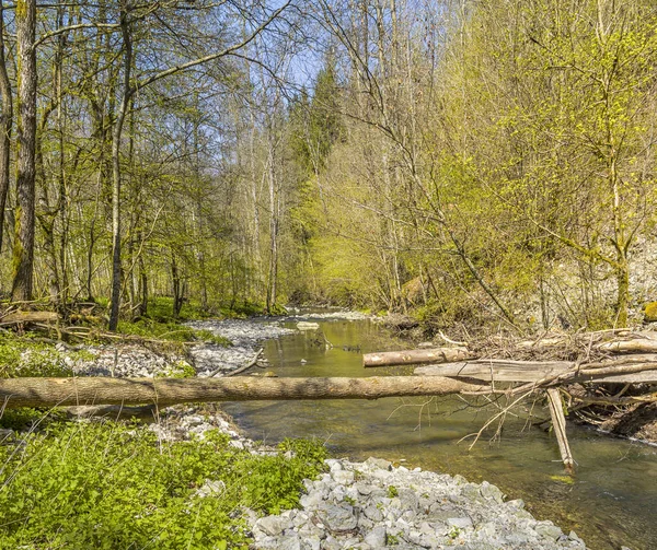 Tavaszi időben vízparti táj — Stock Fotó