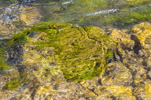 Scorre paesaggio acquatico — Foto Stock