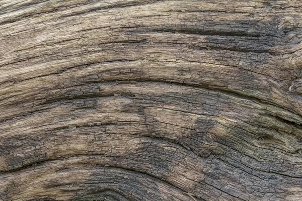 Fissured wood surface — Stock Photo, Image