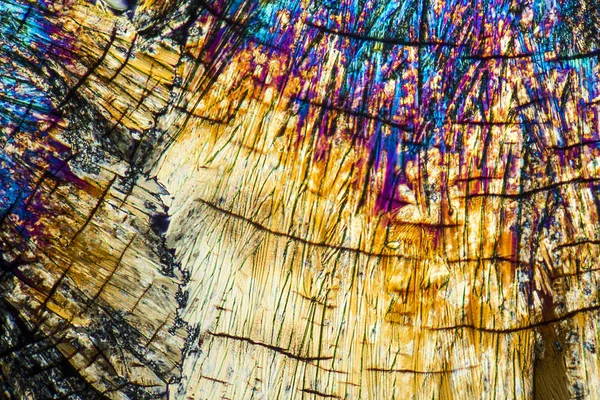 Microscopische Xylose kristallen — Stockfoto