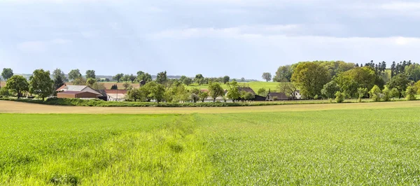 Landschaft des ländlichen Frühlings — Stockfoto