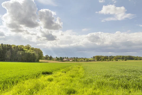 Landsbygdens springtime landskap — Stockfoto