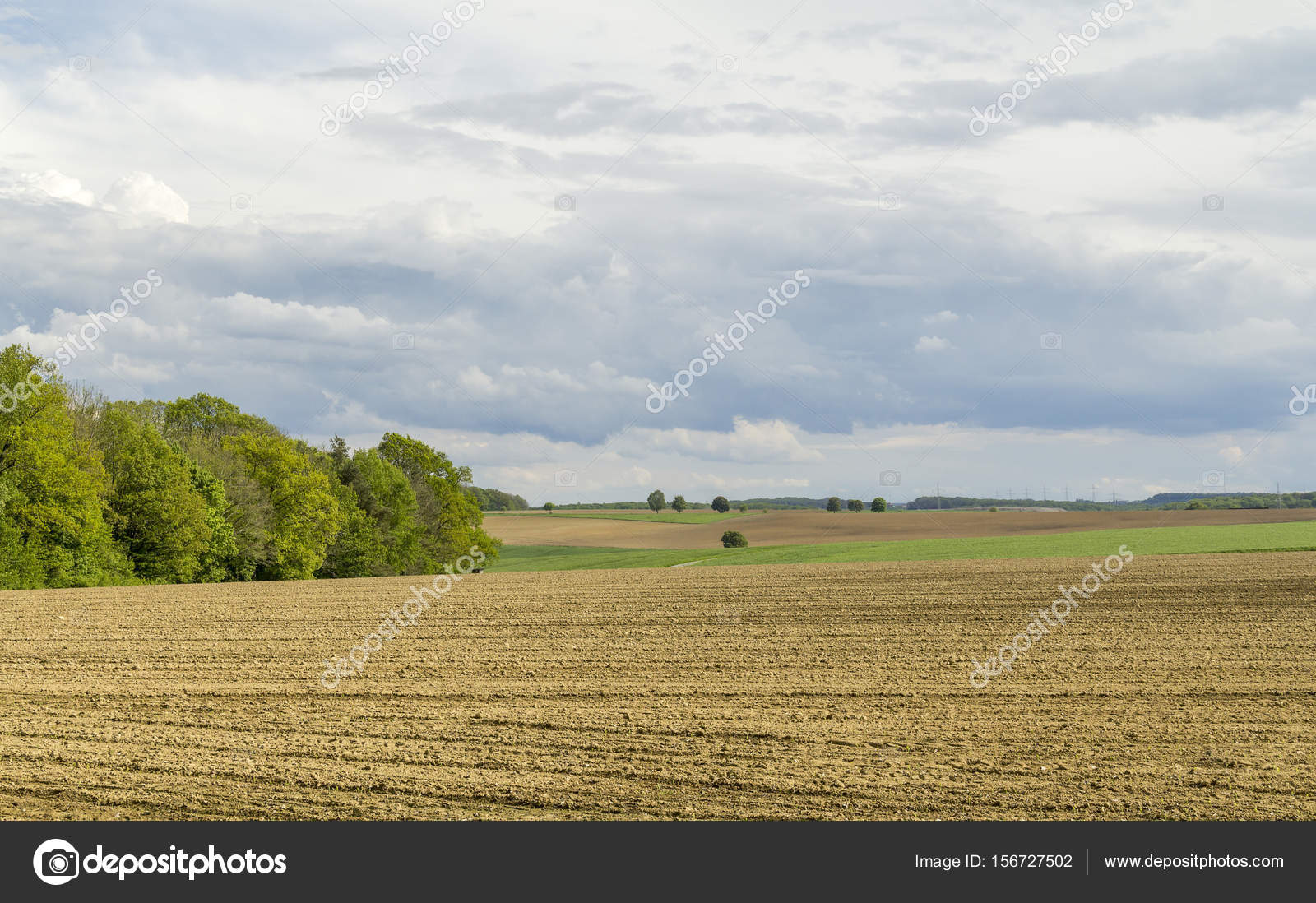Agricultural springtime scenery — Stock Photo © prill 156727502