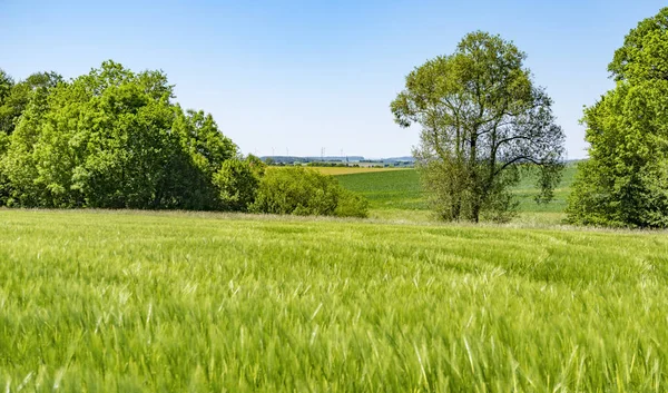 Paisaje rural de primavera — Foto de Stock