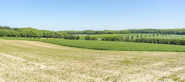 Rural springtime scenery — Stock Photo, Image