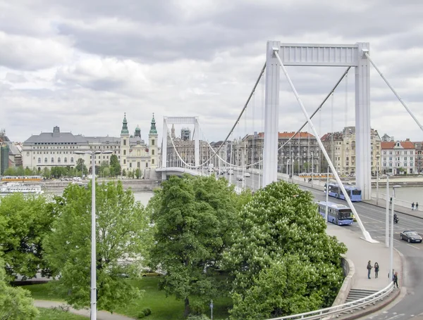 Elisabeth-bron i budapest — Stockfoto