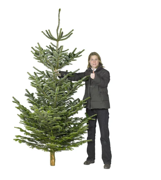 Vrouw en kerstboom — Stockfoto