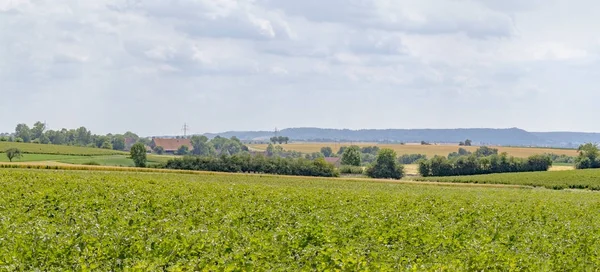 Paisagem agrícola em Hohenlohe — Fotografia de Stock