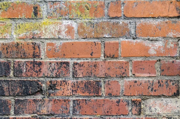 런다운 벽돌 벽 상세 — 스톡 사진