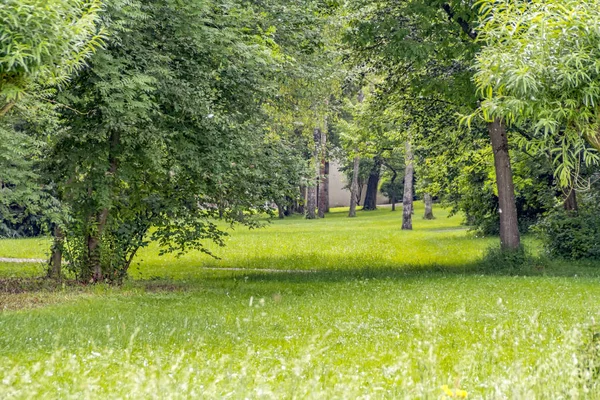 Пейзаж идиллического парка — стоковое фото