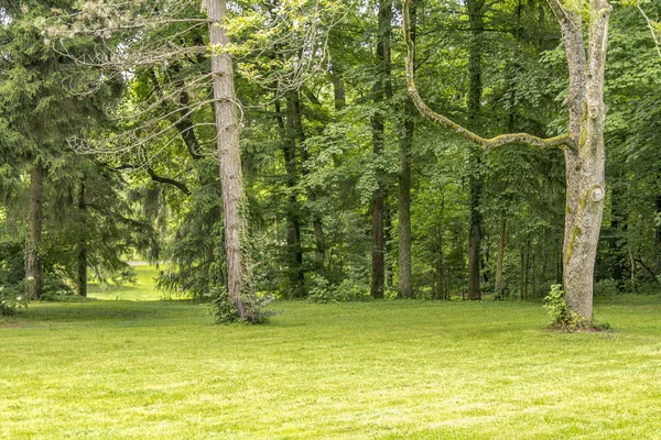 Paysage idyllique du parc — Photo