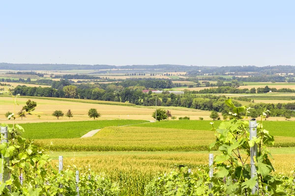 Wijnbouw landschap in Hohenlohekreis — Stockfoto