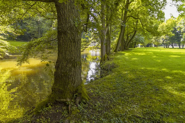 Idyllische Parklandschaft — Stockfoto