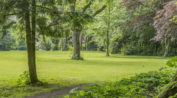 Cenário parque idílico — Fotografia de Stock