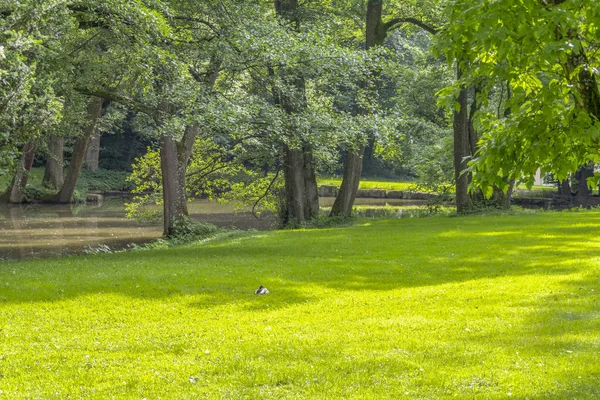 Idyllische Parklandschaft — Stockfoto