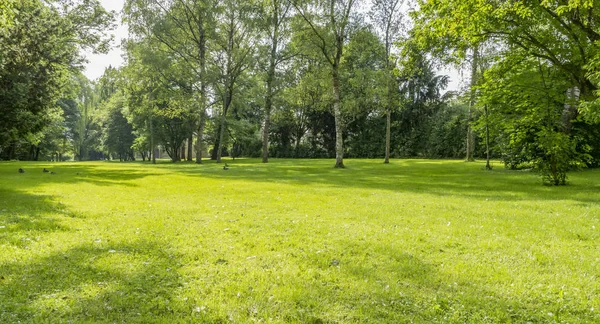 Pastoral park manzarası — Stok fotoğraf